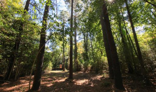 Photo #24 of SOLD property in Off Bryant Farm Road, Tarboro, NC 122.0 acres