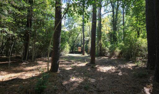 Photo #25 of SOLD property in Off Bryant Farm Road, Tarboro, NC 122.0 acres