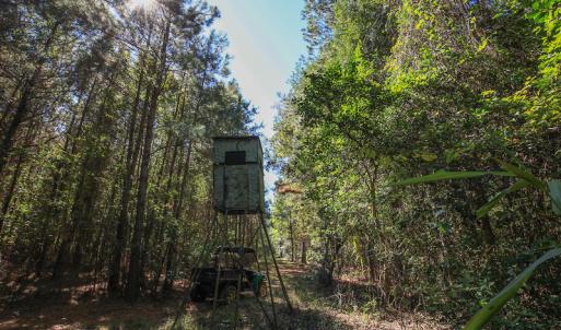 Photo #27 of SOLD property in Off Bryant Farm Road, Tarboro, NC 122.0 acres