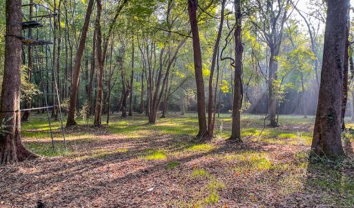 Photo #29 of SOLD property in Off Bryant Farm Road, Tarboro, NC 122.0 acres
