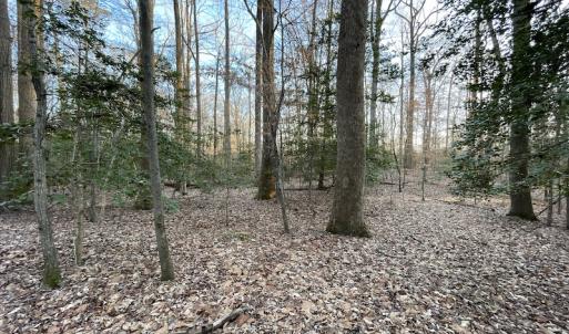 Photo #21 of SOLD property in Off Bethel Church Lane, Smithfield, VA 5.3 acres