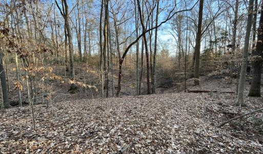 Photo #22 of SOLD property in Off Bethel Church Lane, Smithfield, VA 5.3 acres