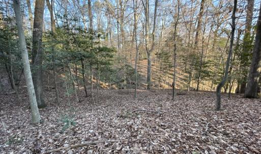 Photo #23 of SOLD property in Off Bethel Church Lane, Smithfield, VA 5.3 acres
