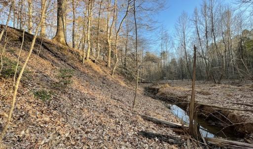 Photo #24 of SOLD property in Off Bethel Church Lane, Smithfield, VA 5.3 acres