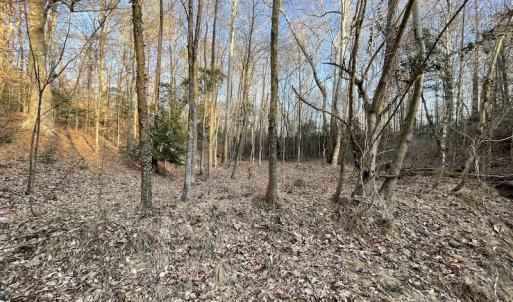 Photo #25 of SOLD property in Off Bethel Church Lane, Smithfield, VA 5.3 acres