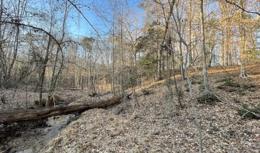 Photo #26 of SOLD property in Off Bethel Church Lane, Smithfield, VA 5.3 acres