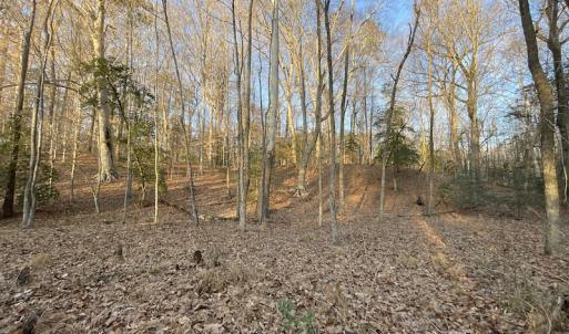 Photo #27 of SOLD property in Off Bethel Church Lane, Smithfield, VA 5.3 acres