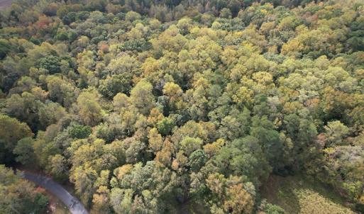 Photo #6 of SOLD property in Off Bethel Church Lane, Smithfield, VA 5.3 acres
