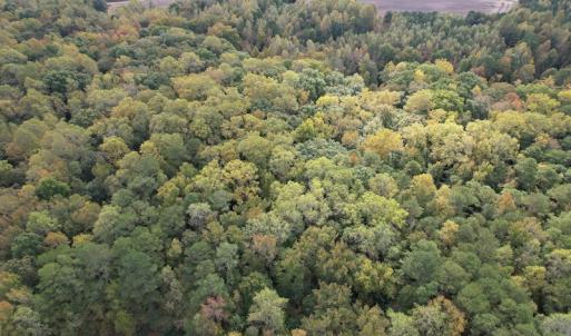 Photo #7 of SOLD property in Off Bethel Church Lane, Smithfield, VA 5.3 acres