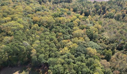 Photo #8 of SOLD property in Off Bethel Church Lane, Smithfield, VA 5.3 acres