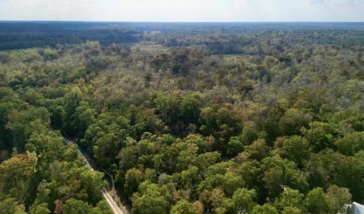 Photo #2 of SOLD property in Lot 8 Off Woodberry Drive, Grimesland, NC 2.6 acres