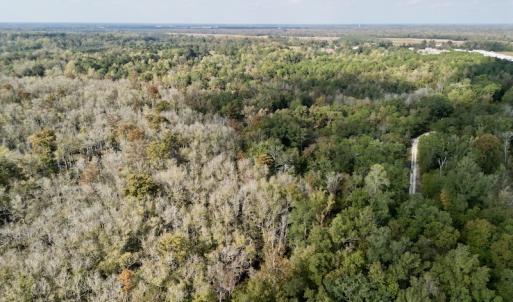 Photo #9 of SOLD property in Lot 8 Off Woodberry Drive, Grimesland, NC 2.6 acres
