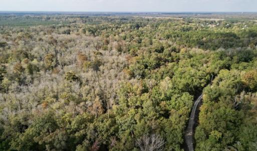 Photo #10 of SOLD property in Lot 8 Off Woodberry Drive, Grimesland, NC 2.6 acres