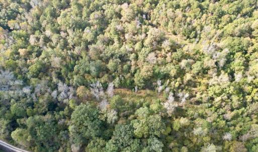 Photo #12 of SOLD property in Lot 8 Off Woodberry Drive, Grimesland, NC 2.6 acres