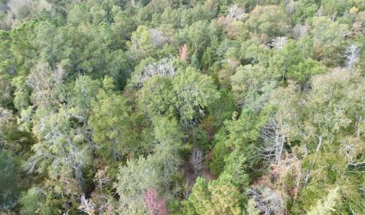 Photo #13 of SOLD property in Lot 8 Off Woodberry Drive, Grimesland, NC 2.6 acres