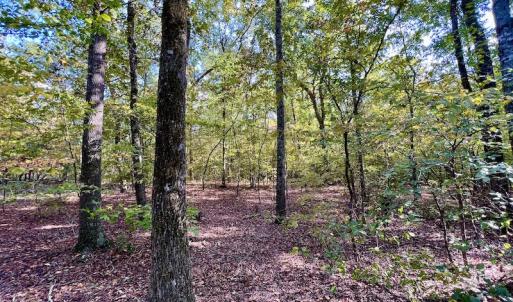 Photo #14 of SOLD property in Lot 8 Off Woodberry Drive, Grimesland, NC 2.6 acres