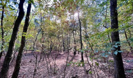 Photo #16 of SOLD property in Lot 8 Off Woodberry Drive, Grimesland, NC 2.6 acres