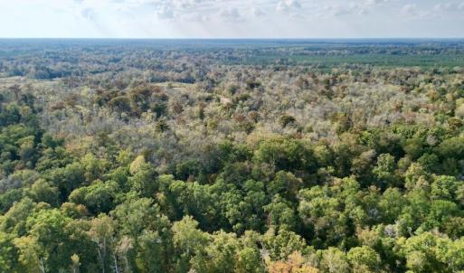 Photo #3 of SOLD property in Lot 8 Off Woodberry Drive, Grimesland, NC 2.6 acres