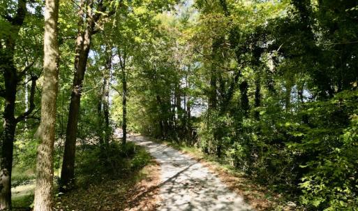 Photo #19 of SOLD property in Lot 8 Off Woodberry Drive, Grimesland, NC 2.6 acres