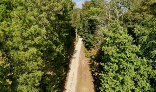 Photo #22 of SOLD property in Lot 8 Off Woodberry Drive, Grimesland, NC 2.6 acres