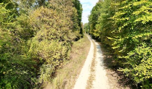 Photo #24 of SOLD property in Lot 8 Off Woodberry Drive, Grimesland, NC 2.6 acres