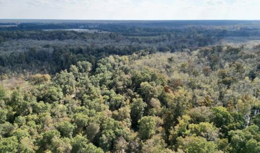 Photo #5 of SOLD property in Lot 8 Off Woodberry Drive, Grimesland, NC 2.6 acres