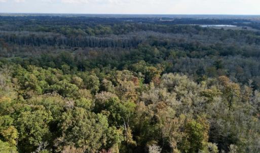 Photo #6 of SOLD property in Lot 8 Off Woodberry Drive, Grimesland, NC 2.6 acres