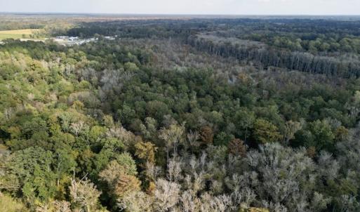 Photo #7 of SOLD property in Lot 8 Off Woodberry Drive, Grimesland, NC 2.6 acres