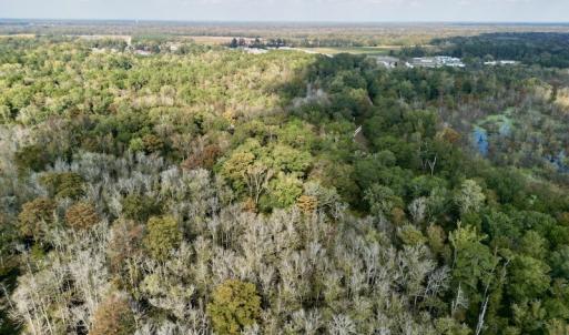 Photo #8 of SOLD property in Lot 8 Off Woodberry Drive, Grimesland, NC 2.6 acres