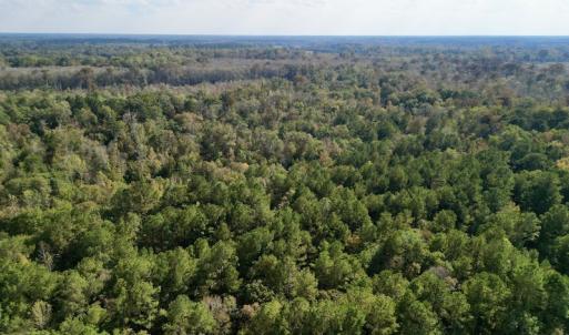Photo #10 of SOLD property in Lots 2 & 5 Off Woodberry Drive, Grimesland, NC 10.2 acres
