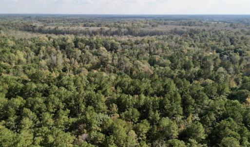 Photo #11 of SOLD property in Lots 2 & 5 Off Woodberry Drive, Grimesland, NC 10.2 acres