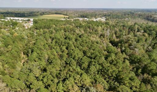 Photo #13 of SOLD property in Lots 2 & 5 Off Woodberry Drive, Grimesland, NC 10.2 acres