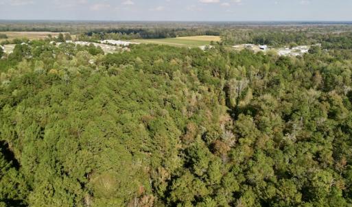 Photo #14 of SOLD property in Lots 2 & 5 Off Woodberry Drive, Grimesland, NC 10.2 acres