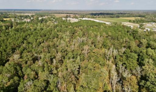 Photo #15 of SOLD property in Lots 2 & 5 Off Woodberry Drive, Grimesland, NC 10.2 acres