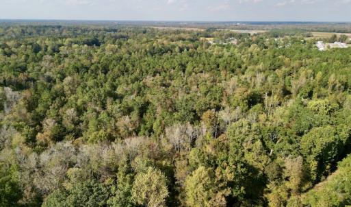 Photo #16 of SOLD property in Lots 2 & 5 Off Woodberry Drive, Grimesland, NC 10.2 acres