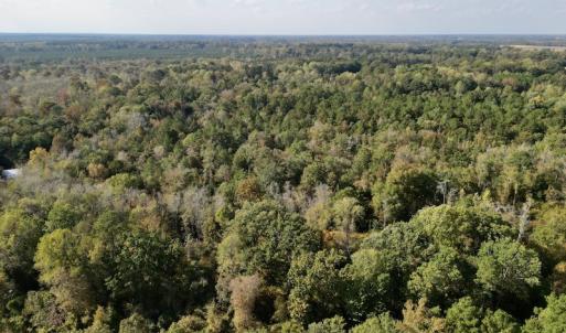 Photo #17 of SOLD property in Lots 2 & 5 Off Woodberry Drive, Grimesland, NC 10.2 acres