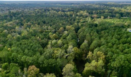Photo #3 of SOLD property in Lots 2 & 5 Off Woodberry Drive, Grimesland, NC 10.2 acres