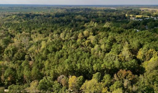Photo #20 of SOLD property in Lots 2 & 5 Off Woodberry Drive, Grimesland, NC 10.2 acres