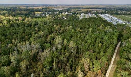 Photo #21 of SOLD property in Lots 2 & 5 Off Woodberry Drive, Grimesland, NC 10.2 acres