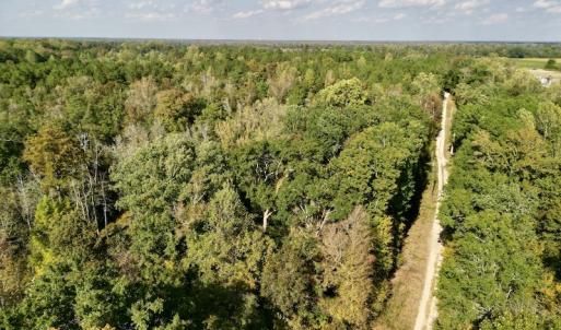 Photo #22 of SOLD property in Lots 2 & 5 Off Woodberry Drive, Grimesland, NC 10.2 acres