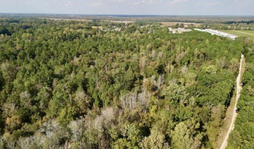 Photo #23 of SOLD property in Lots 2 & 5 Off Woodberry Drive, Grimesland, NC 10.2 acres