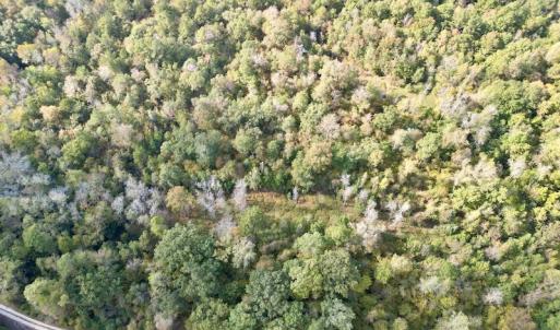 Photo #24 of SOLD property in Lots 2 & 5 Off Woodberry Drive, Grimesland, NC 10.2 acres