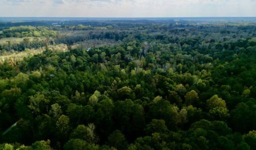 Photo #4 of SOLD property in Lots 2 & 5 Off Woodberry Drive, Grimesland, NC 10.2 acres