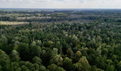 Photo #5 of SOLD property in Lots 2 & 5 Off Woodberry Drive, Grimesland, NC 10.2 acres