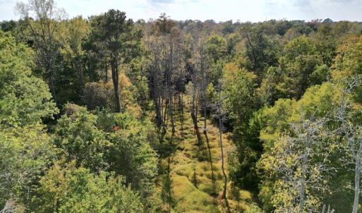 Photo #35 of SOLD property in Lots 2 & 5 Off Woodberry Drive, Grimesland, NC 10.2 acres