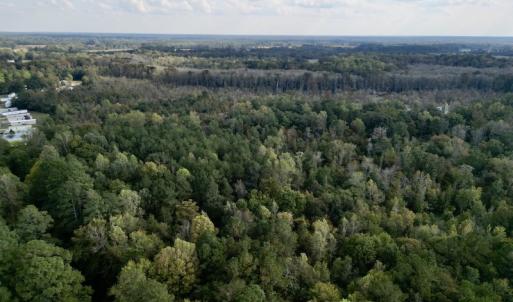 Photo #6 of SOLD property in Lots 2 & 5 Off Woodberry Drive, Grimesland, NC 10.2 acres