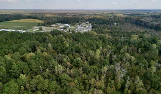 Photo #7 of SOLD property in Lots 2 & 5 Off Woodberry Drive, Grimesland, NC 10.2 acres