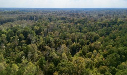 Photo #8 of SOLD property in Lots 2 & 5 Off Woodberry Drive, Grimesland, NC 10.2 acres