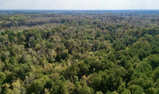 Photo #9 of SOLD property in Lots 2 & 5 Off Woodberry Drive, Grimesland, NC 10.2 acres