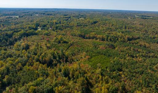 Photo #8 of SOLD property in Off Stoney Creek School Road, Reidsville, NC 19.5 acres